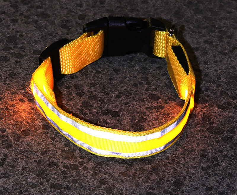 Anti-Lost LED Dog Collar for Pet Safety