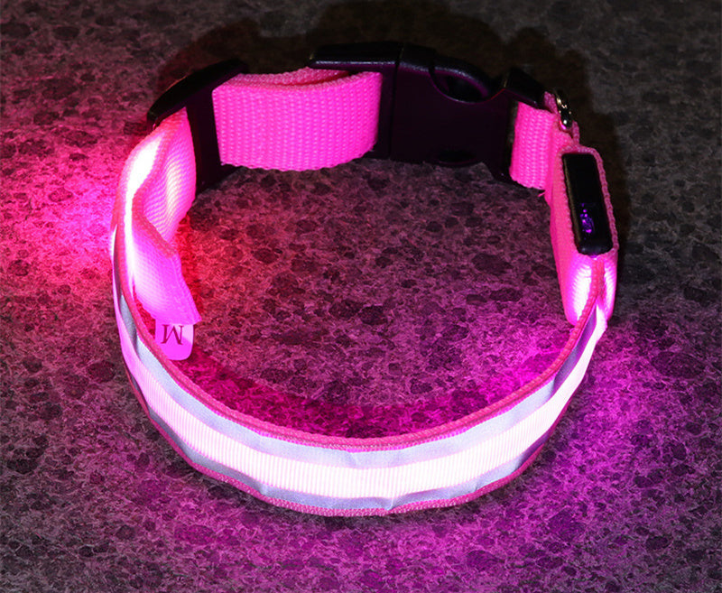 Anti-Lost LED Dog Collar for Pet Safety