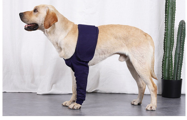 Protect Healing Paws, Comfortable, Anti-Licking Sleeve For Faster Recovery