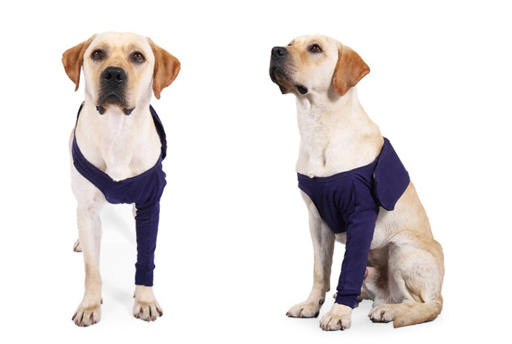 Protect Healing Paws, Comfortable, Anti-Licking Sleeve For Faster Recovery