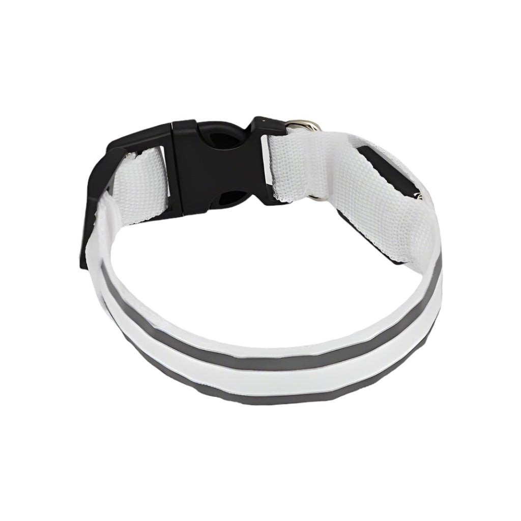 Anti-Lost LED Dog Collar for Pet Safety