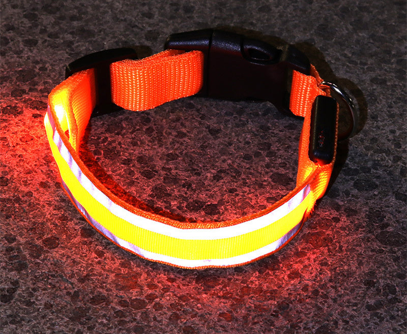 Anti-Lost LED Dog Collar for Pet Safety