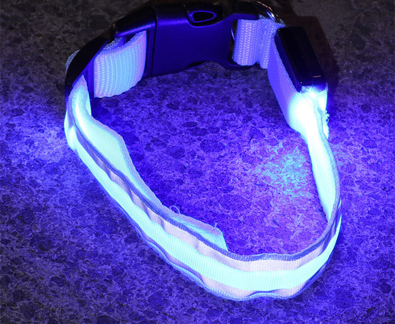 Anti-Lost LED Dog Collar for Pet Safety