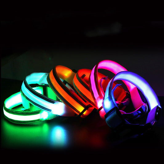 Anti-Lost LED Dog Collar for Pet Safety